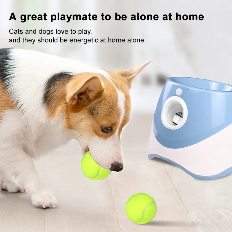 Pet Ball Shooter