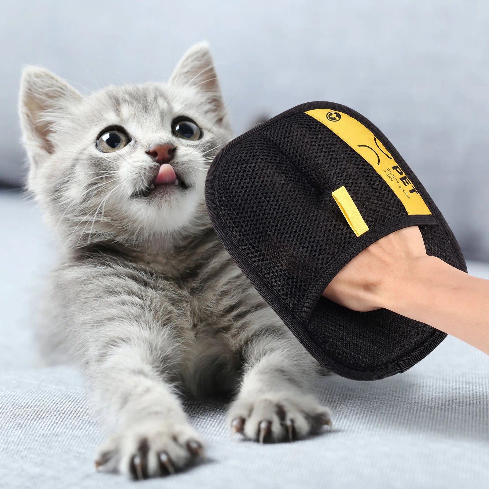 PetPal Hair Removal Gloves