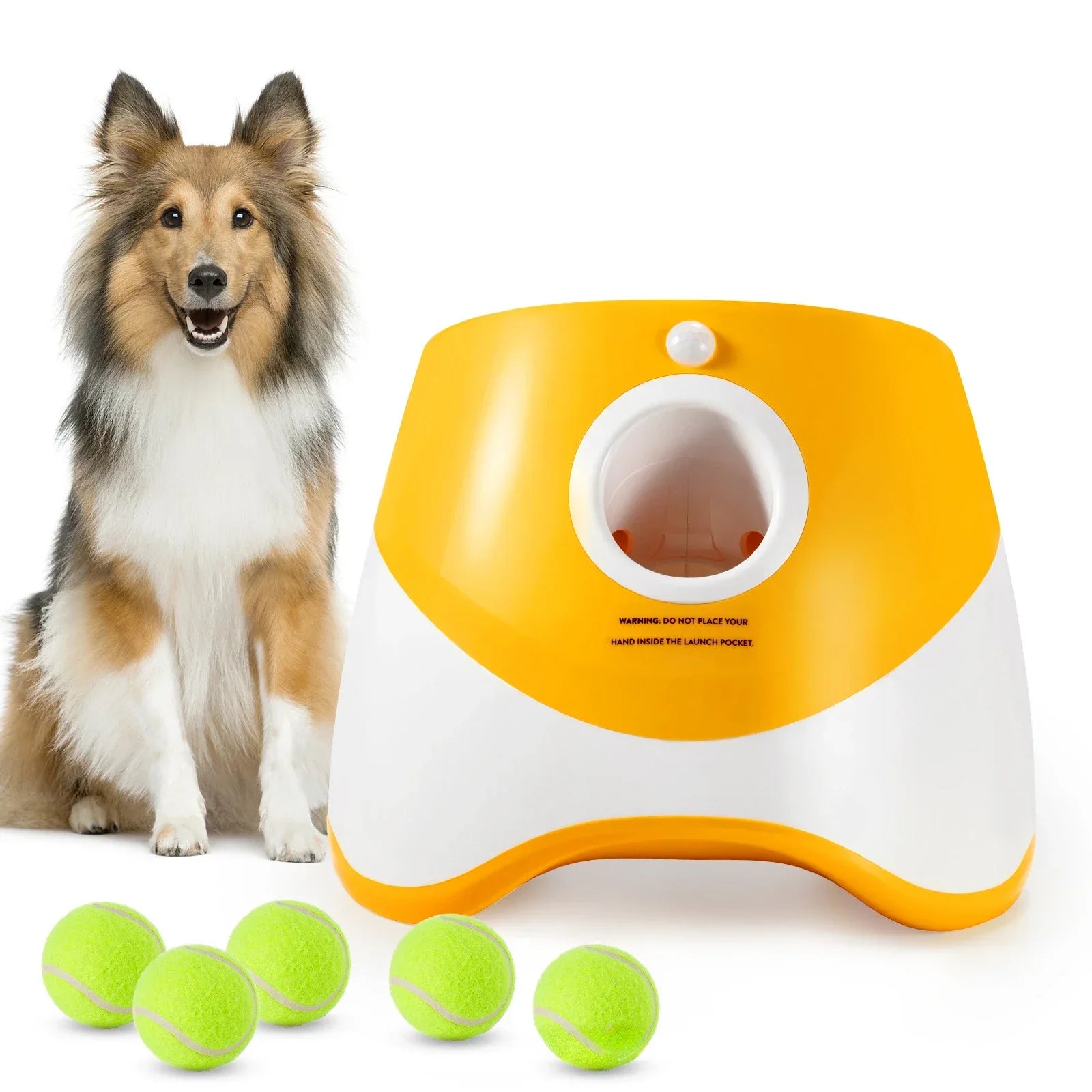 Pet Ball Shooter