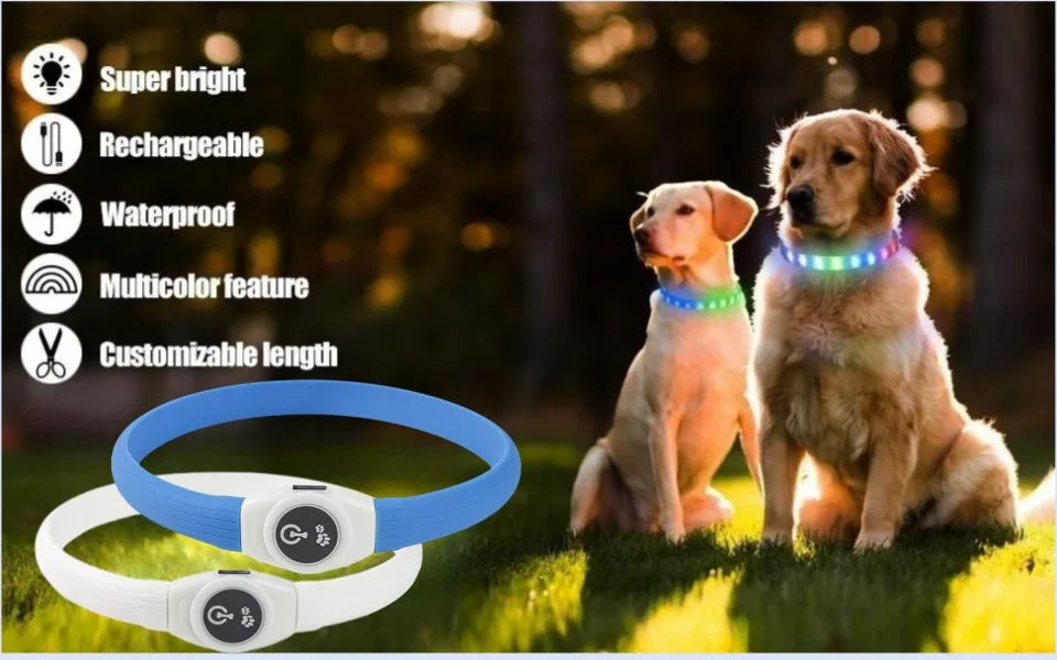 New Led Luminous Dog Collar