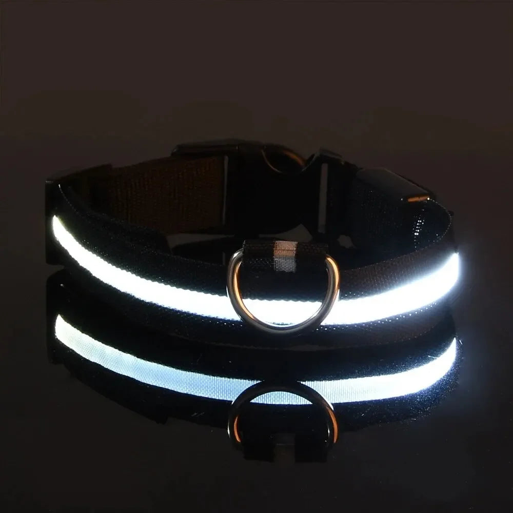 Safety LED Dog Collar