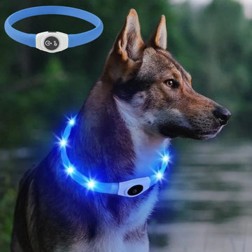 New Led Luminous Dog Collar