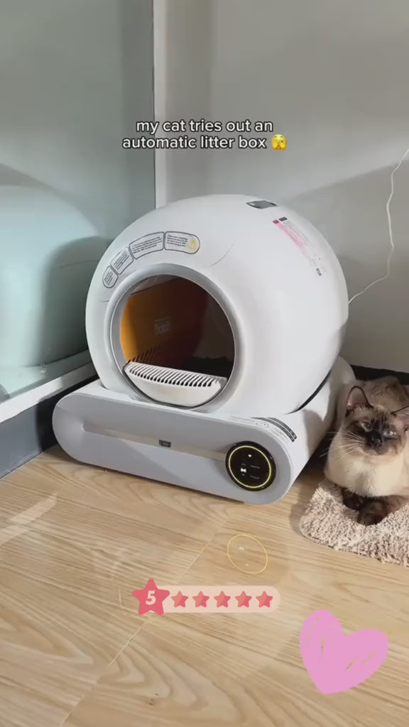 Automatic Smart Cat Litter Box Self Cleaning