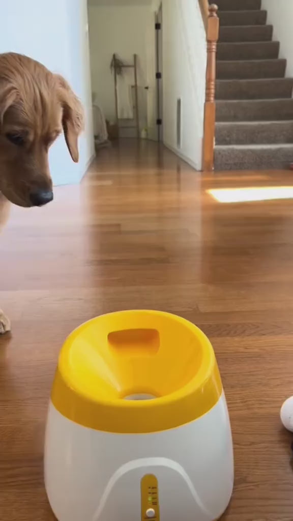 Pet Ball Shooter